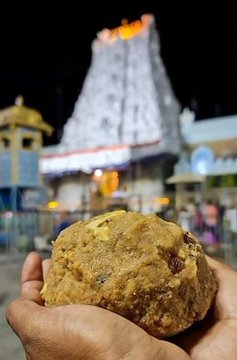 TIRUPATI TEMPLE Controversy: laddus, cost, significance and animal fat in prasad